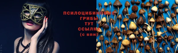 скорость Магас