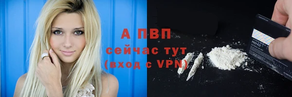 a pvp Магадан